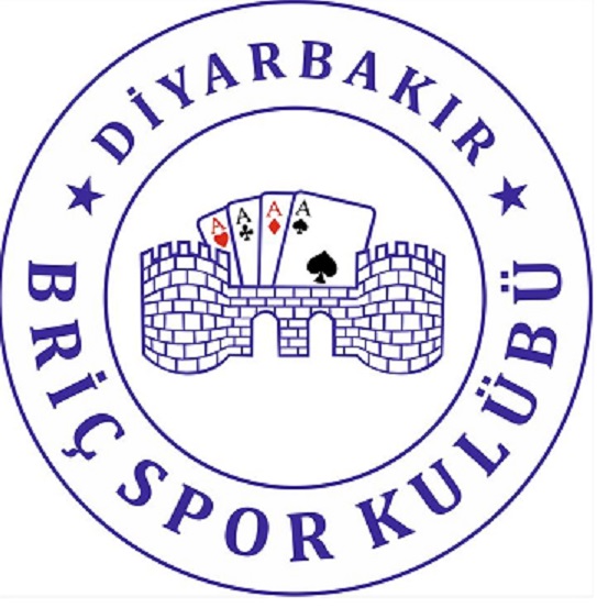 DİYARBAKIR BRİÇ SPOR KULÜBÜ  Logo