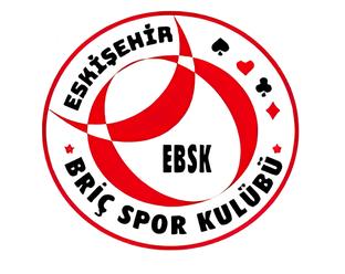 ESKİŞEHİR BRİÇ SPOR KULÜBÜ Logo