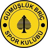 GÜMÜŞLÜK BRİÇ SPOR KULÜBÜ Logo